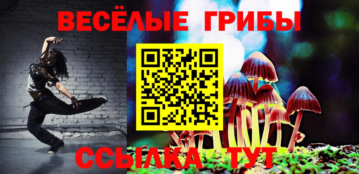 Псилоцибиновые грибы Cubensis Кирово-Чепецк