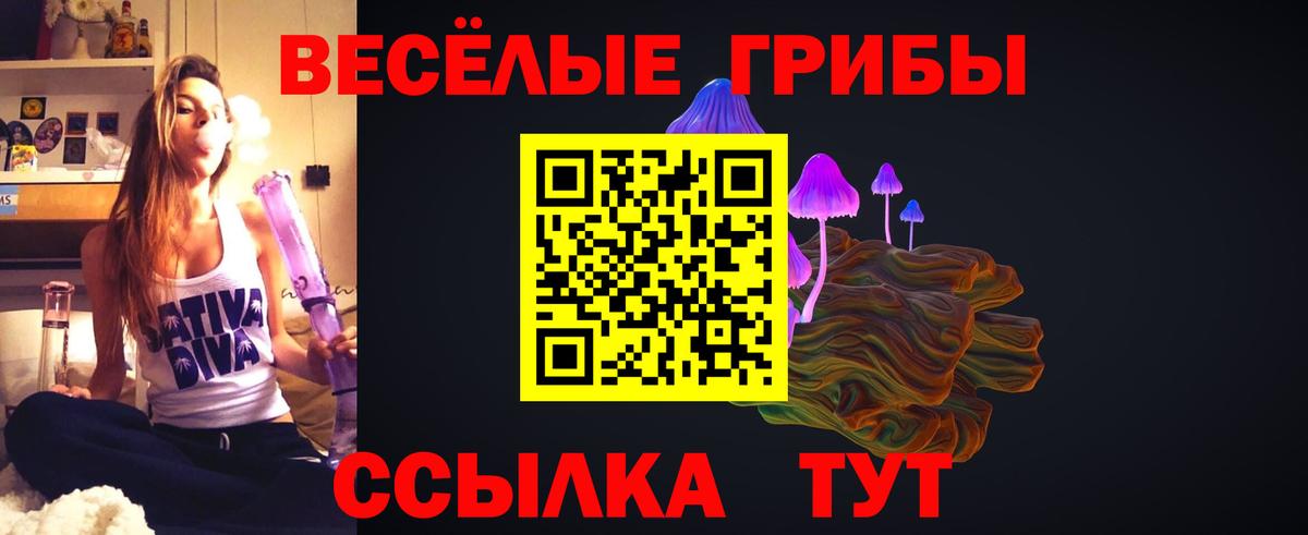 Кирово-Чепецк  Галлюциногенные грибы GOLDEN TEACHER  Вход с VPN 